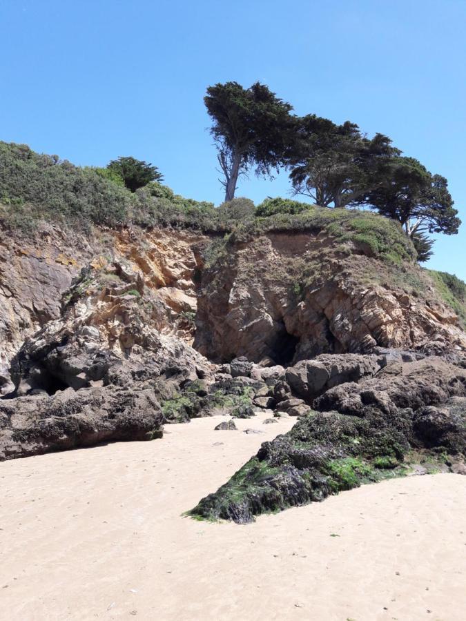 Le Studio Du Ris Douarnenez Exteriör bild